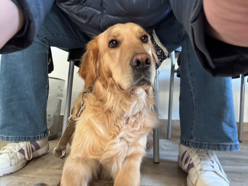 324eb96c 3411 42c1 A606 205f030f546f 1024x768