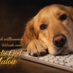 DAFC073C 7B28 416A B9AD 4A56DE3E8742 150x150