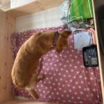 48110839 f14c 4608 b24c 116b7d528733 1.jpg