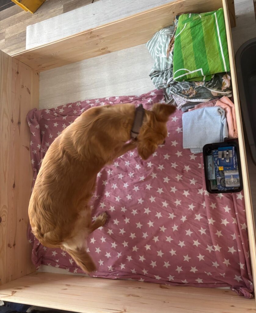 48110839 F14c 4608 B24c 116b7d528733 2 839x1024