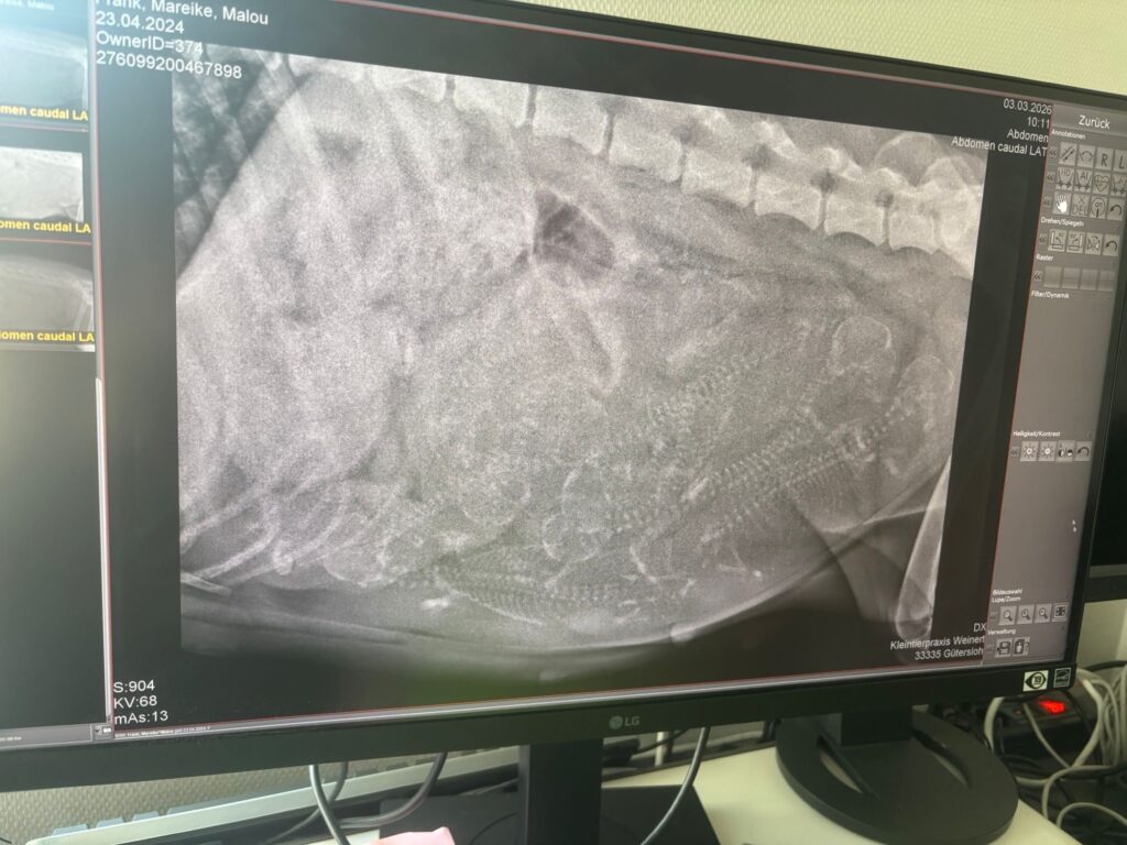 89cd7189 Bc50 4a84 Bc3e 9a7e52097c9a 1024x768