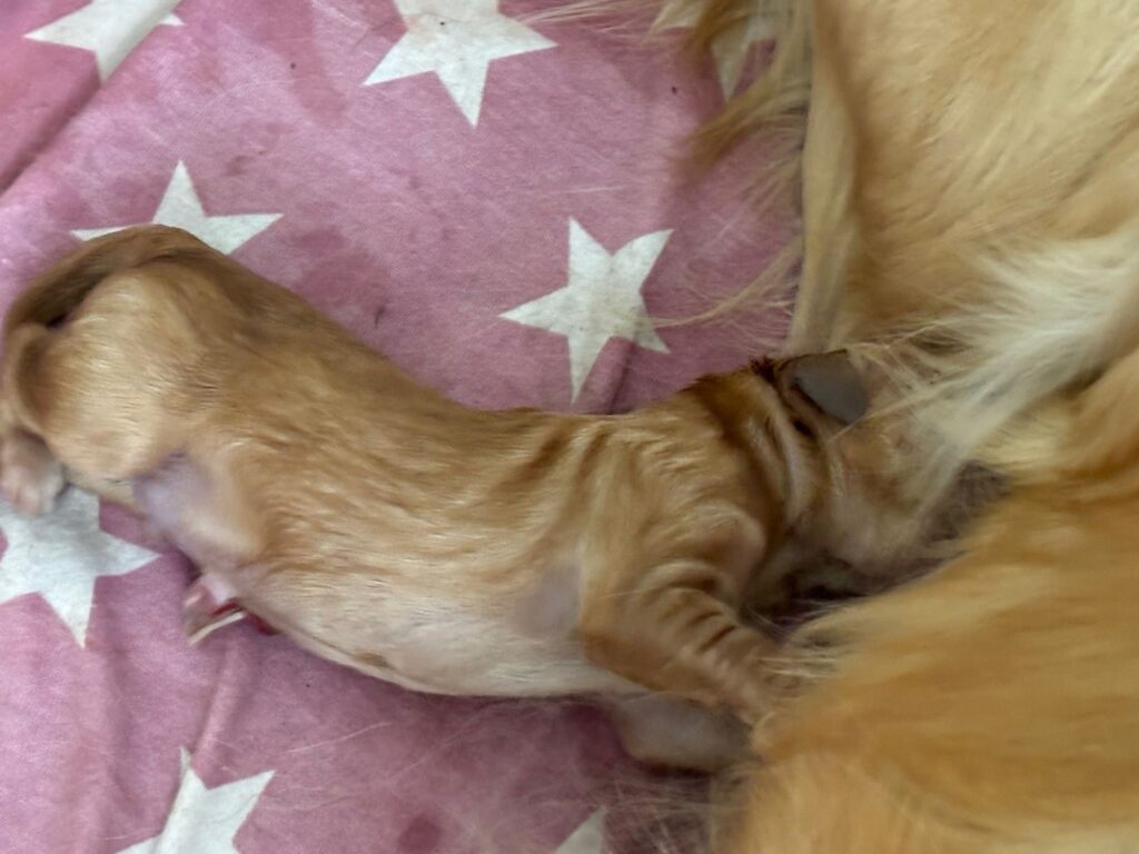 A721f10d 453f 444b 82ca C2a6c4c2cd06 1024x768