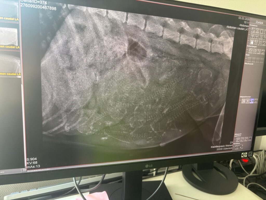 F5556f14 322b 491f Abf0 146c74a8f1cc 1024x768